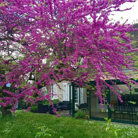 L'arbre De Judee Hébergement de vacances